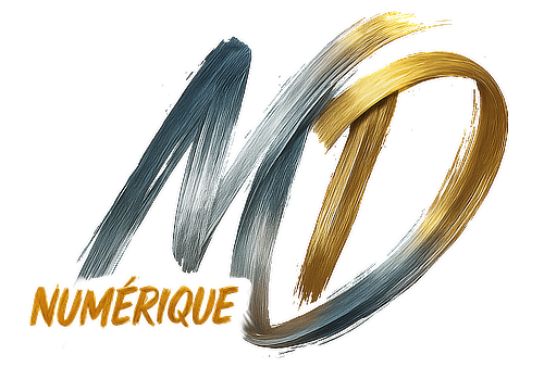 Logo Optionweb by MD Numérique